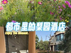 -梨苑林卡金陵山水酒店