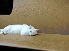 -春阳水饺(香槟广场店)