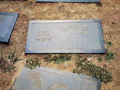 -野鸭湖国家湿地公园