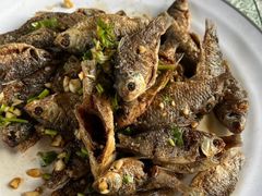 -巩本明鱼屋子