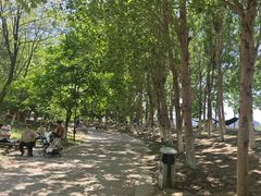 -莫子山公园