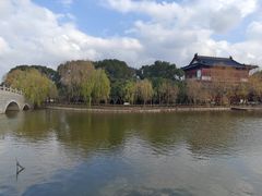 -南汇桃花村