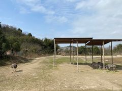 -宁波野生动物园