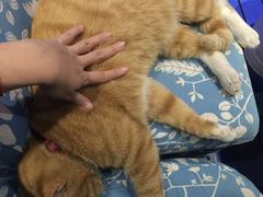 海妖酒吧-Sirena海妖日咖夜酒