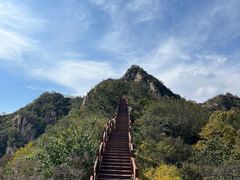 -大岭沟猕猴桃谷风景区