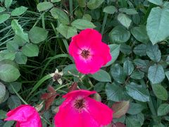 -汉长安城未央宫国家考古遗址公园