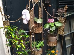 -猫色咖啡·猫咖