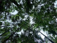 -水濂山森林公园