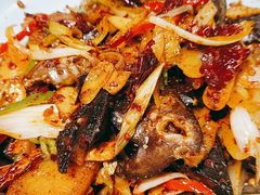 -柴窝堡22号辣子鸡·传承新疆菜