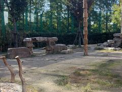 -上海野生动物园老虎餐厅