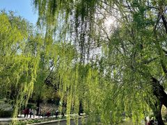 -元大都城垣遗址公园