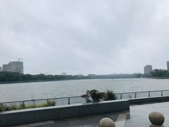 -宁波大剧院