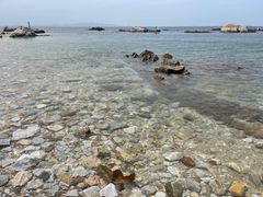 -养马岛旅游度假区