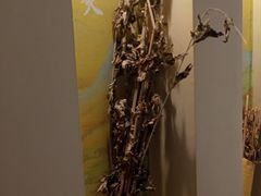 -锦艾·推拿艾灸&疗愈SPA(时代天街空中花园店)