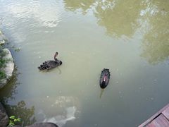 -径山花海