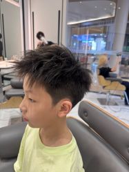 -YESIDO椰岛造型
