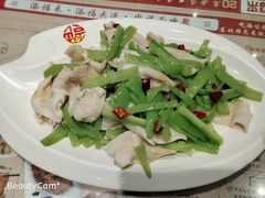 -添福来墨鱼饺子 · 海鲜东北菜(泡崖店)