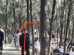 -云龙山
