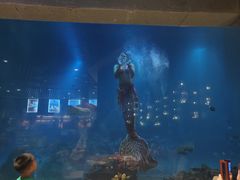 -海棠湾洲际-涛·海底餐厅·美人鱼·自助餐·海底隧道