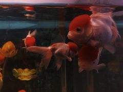 -常州海昌海洋探索馆