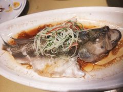 -城北食府(枫林店)