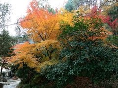-潜山国家森林公园