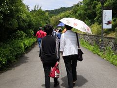 -东海大峡谷
