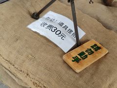 -白洋淀景区