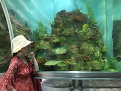-瑞德姆美人鱼海底演艺主题餐厅(亚龙湾店)