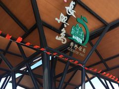 -上海长兴岛郊野公园