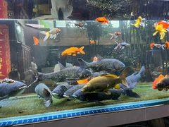 -又见炊烟私房菜(敬亭路店)