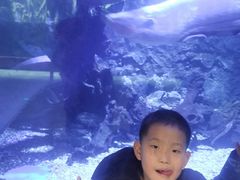 -华夏文旅海洋公园