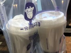 -一只酸奶牛(八一路店)