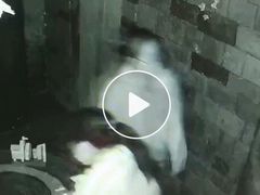 -魔方剧情密室(徐汇店)