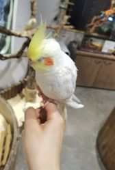 -Zoolung Zoolung动物主题公园(海信广场店)