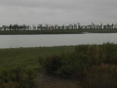 -春花秋色城市公园