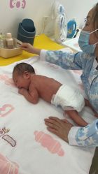 -震元堂母婴护理中心