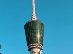 -深圳仙湖植物园
