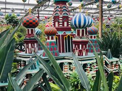 -南宫五洲植物乐园