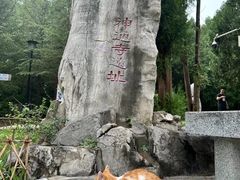 -四门塔风景区