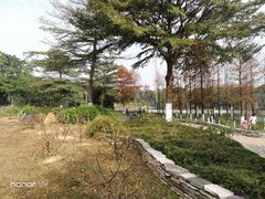 -东莞植物园