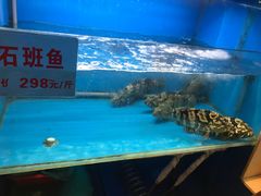-虾佬圣汤