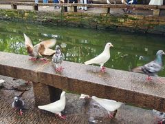 -西园戒幢律寺
