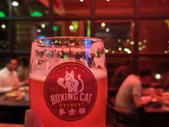 -Boxing Cat Brewery拳击猫精酿啤酒馆(永福店)
