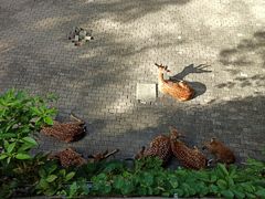 -台州府城(江南长城)