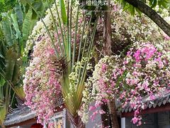 -深圳国际园林花卉博览园