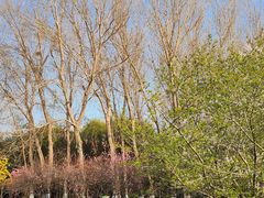 -长春公园(普阳街道)