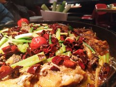 -老板恋上鱼(印象城店)