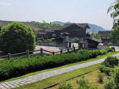 -大唐贡茶院