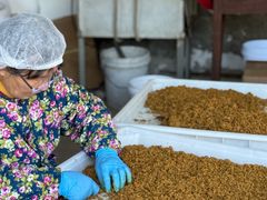 -苏州市吴中区光福窑上花果蜜饯厂